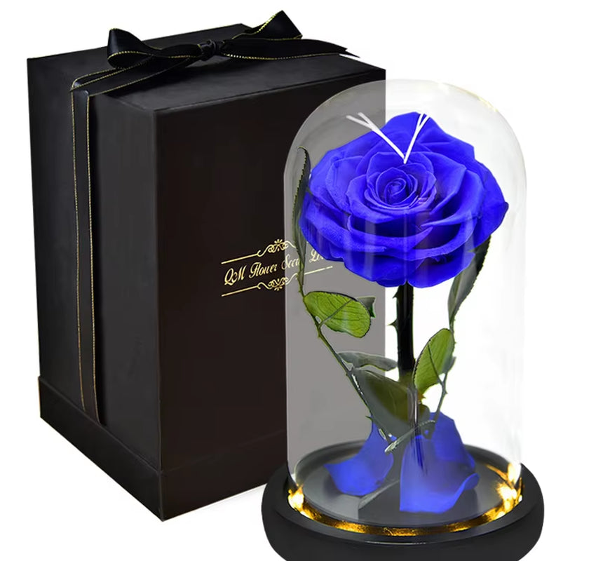 Little Prince™ Eternal Rose – Enchanted Glass Box with LED Light