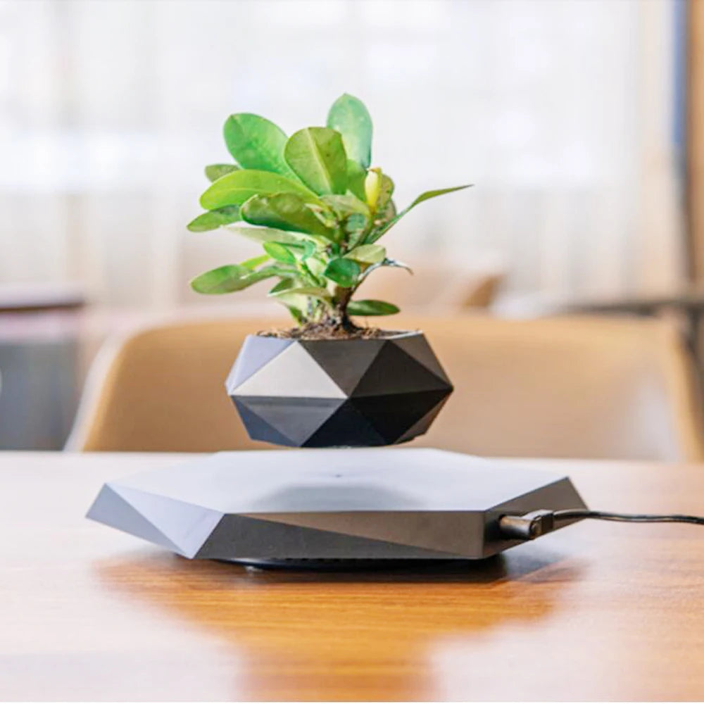 Levitating Air Bonsai Pot™ – Magnetic Levitation Floating Planter