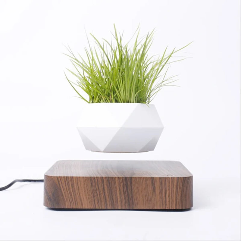 Levitating Air Bonsai Pot™ – Magnetic Levitation Floating Planter