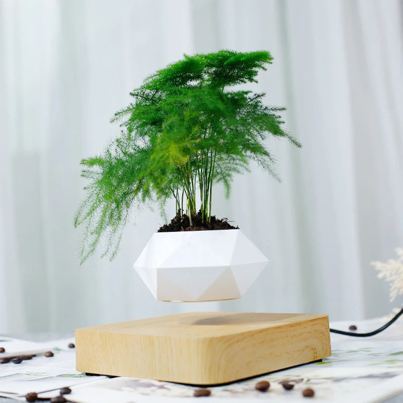 Levitating Air Bonsai Pot™ – Magnetic Levitation Floating Planter