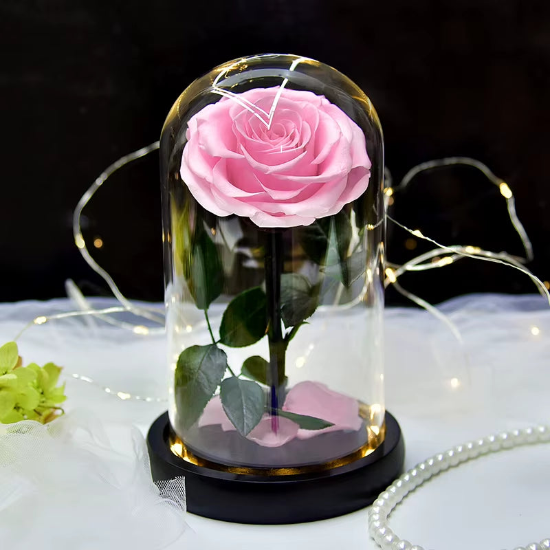 Little Prince™ Eternal Rose – Enchanted Glass Box with LED Light