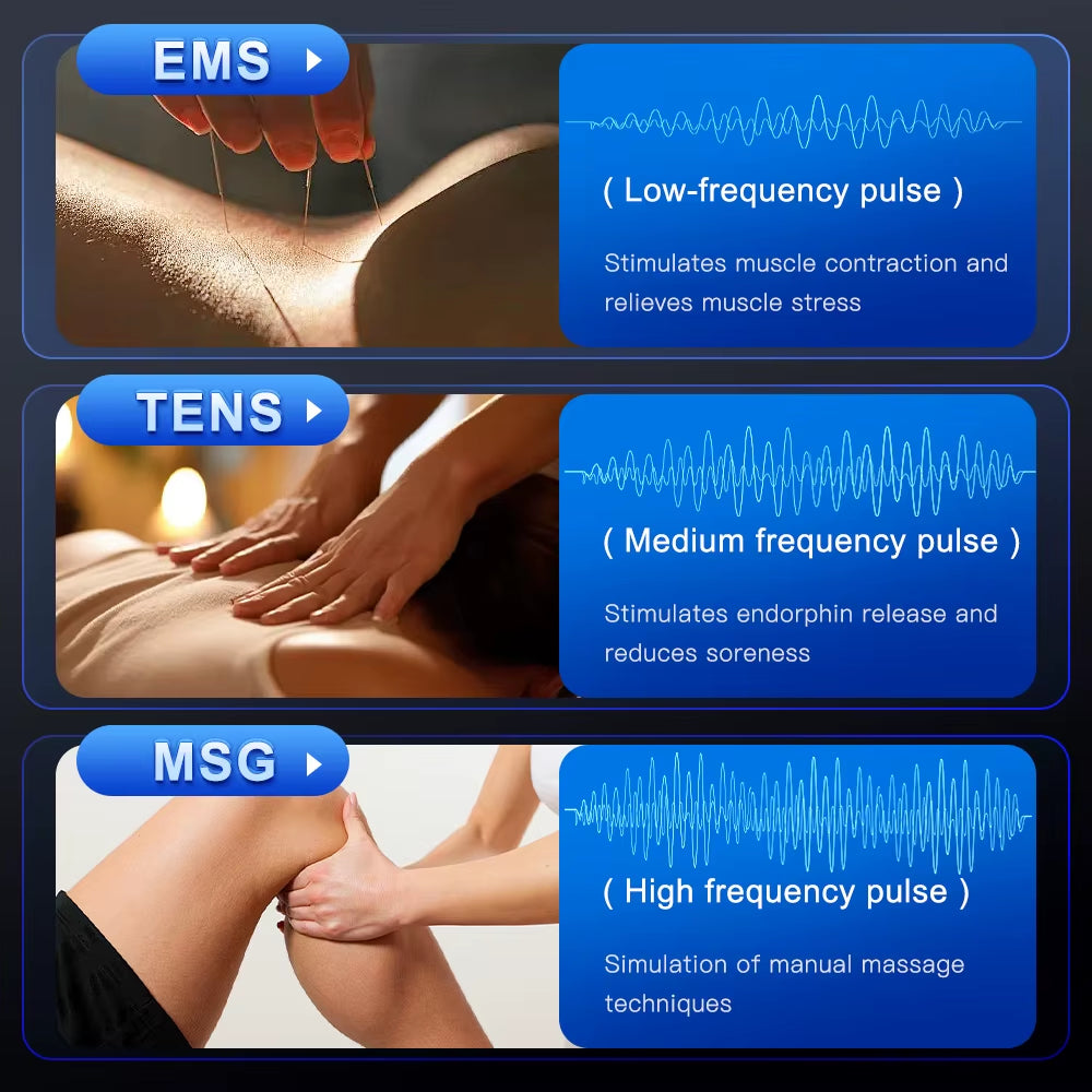 TherapyPulse™ EMS Muscle Stimulator – Digital Acupuncture & Body Slimming Device