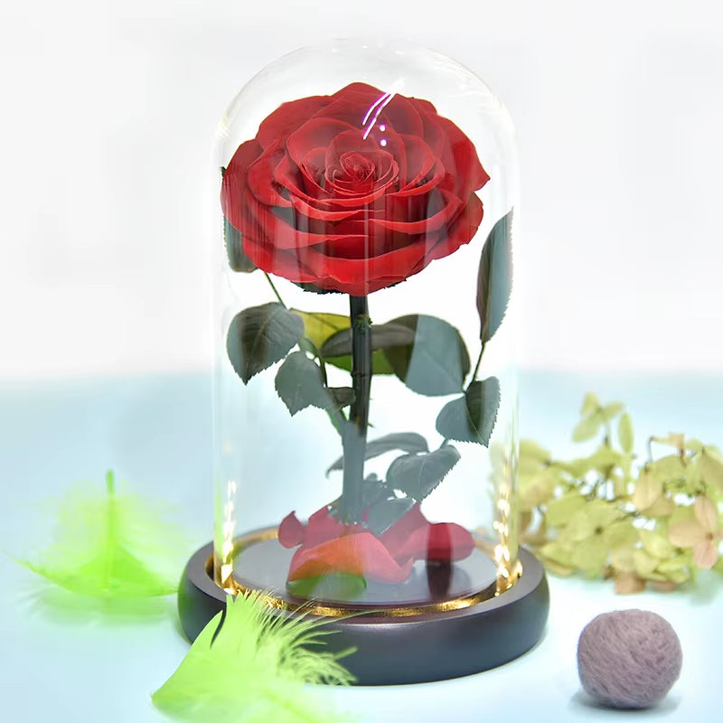 Little Prince™ Eternal Rose – Enchanted Glass Box with LED Light