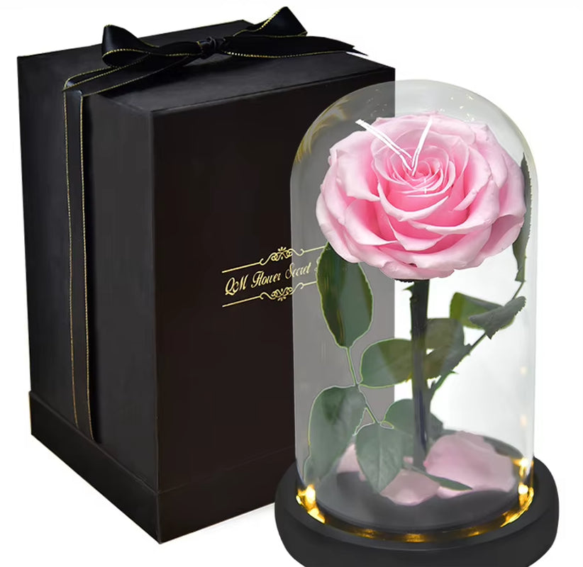 Little Prince™ Eternal Rose – Enchanted Glass Box with LED Light