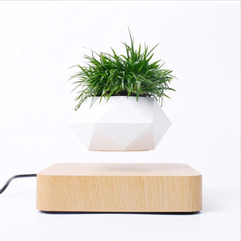 Levitating Air Bonsai Pot™ – Magnetic Levitation Floating Planter