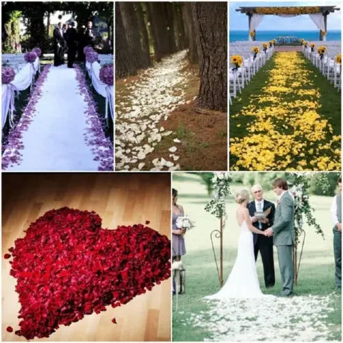 Artificial Rose Petals™ – 2000/100Pcs Colorful Silk Petals