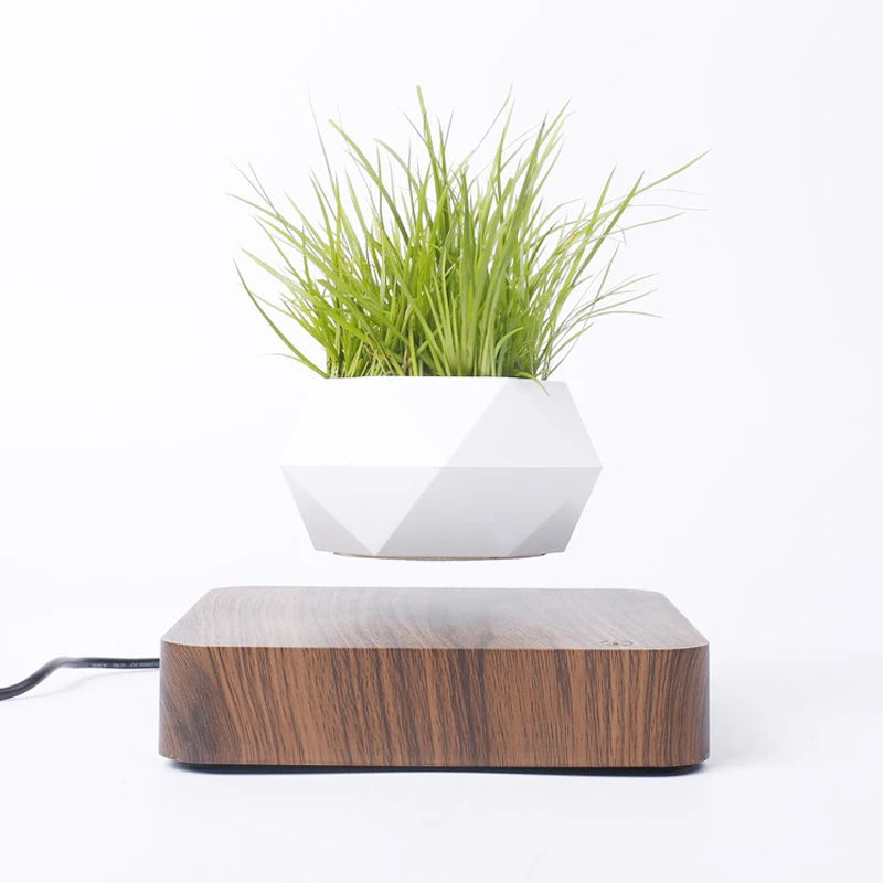 Levitating Air Bonsai Pot™ – Magnetic Levitation Floating Planter